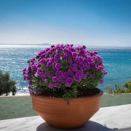 Thalassa Front - Infinite Sea View Feriehus Loutra Elevtheron